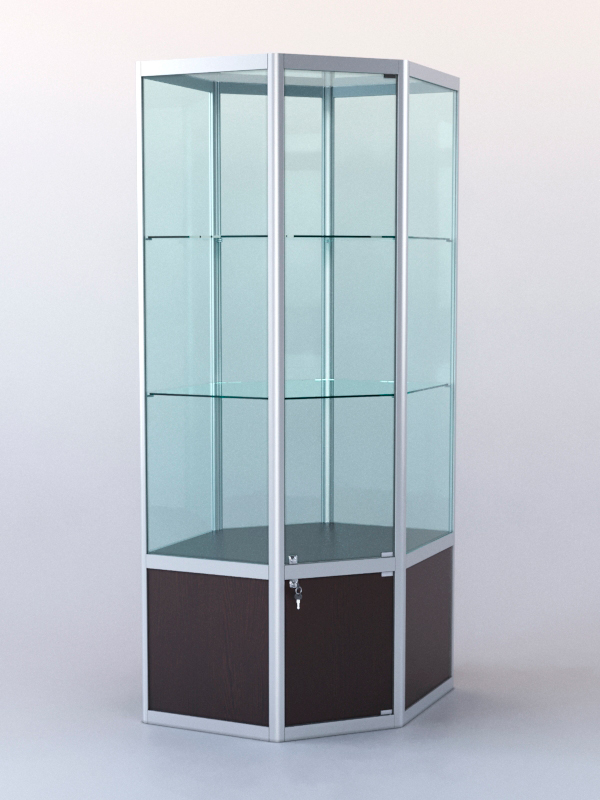 Витрина "УГЛОВАЯ" №6 (закрытая, задняя стенка - стекло) метровая Дуб Венге