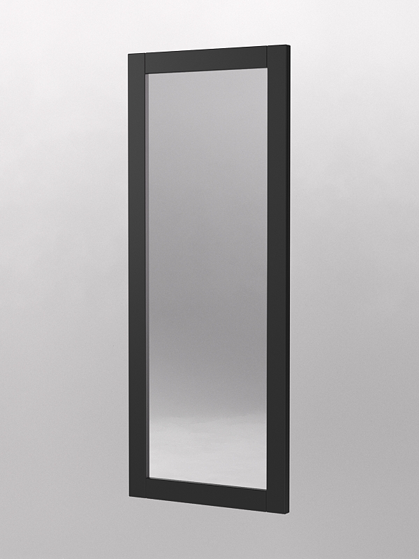 Зеркало для очков "ЛОРНЕТ" №2 вертикальное Черный