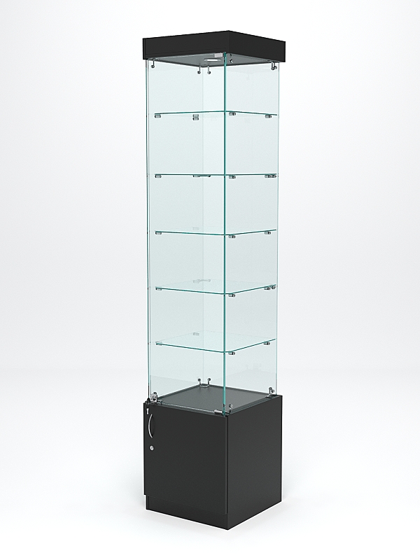 Витрина стеклянная "ИСТРА" №502 (с дверкой, задняя стенка - стекло)  Черный