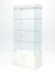 Витрина стеклянная "ИСТРА" №101 (без дверок, задняя стенка - стекло)  Белый