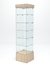 Витрина стеклянная "ИСТРА ПОДИУМ" №510-Ф (с дверкой, задняя стенка - стекло)  Дуб Сонома